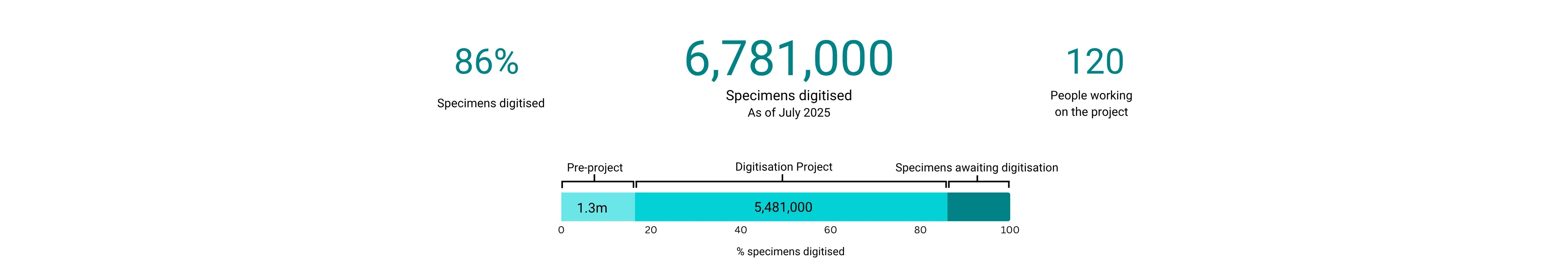 Graphic showing the Digitisation Project numbers to date