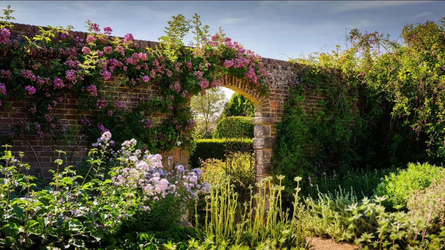 Flowers crowd around a doorway leading through to another garden