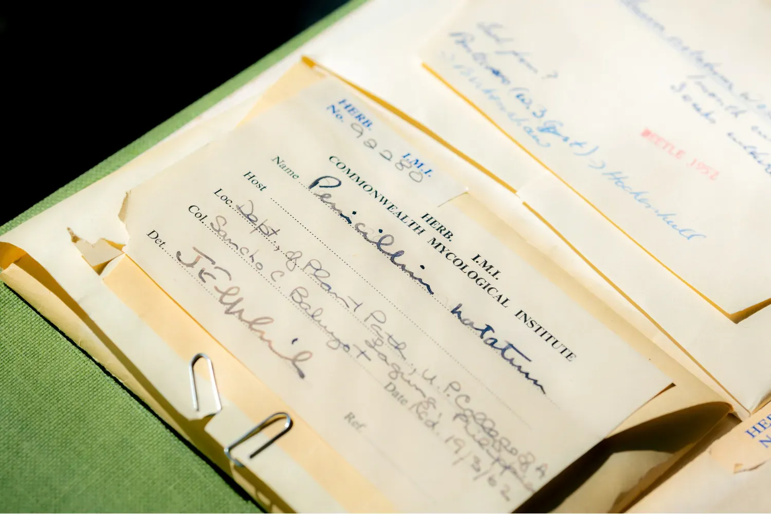 Labelled sheet showing Penicillium notation and collection details from the 1960s.