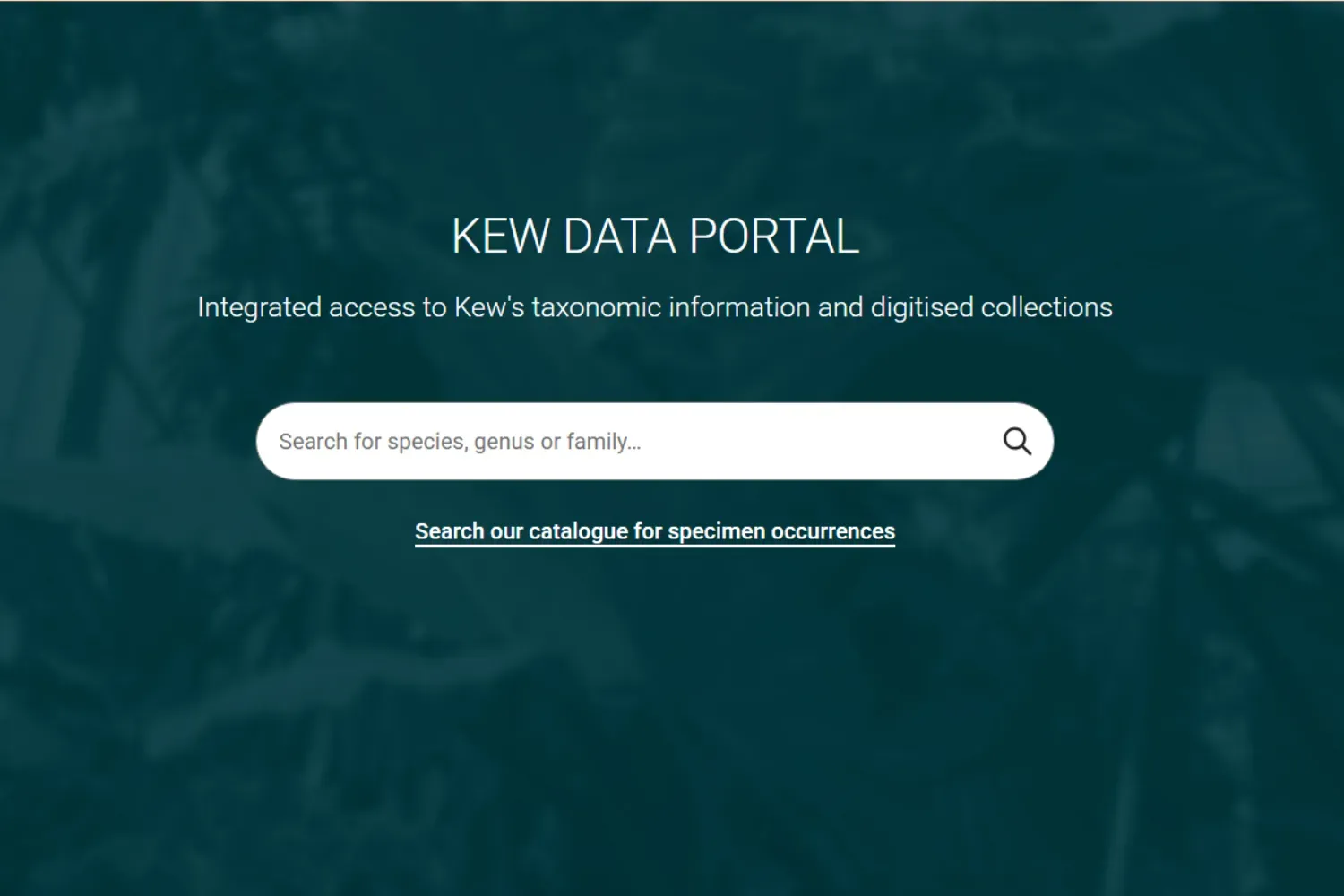 Screenshot of the Kew Data Portal homepage featuring a search bar for species, genus, or family.