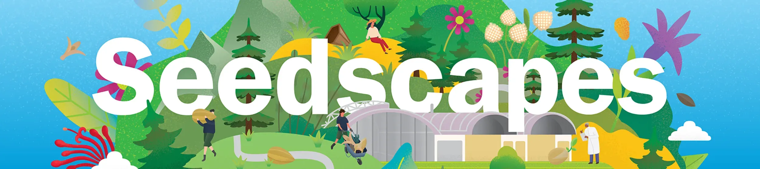 A banner with the word 'Seedscapes' written across the middle and illustrations of plants, the Millennium Seed Bank and people walking across an illustrated landscape