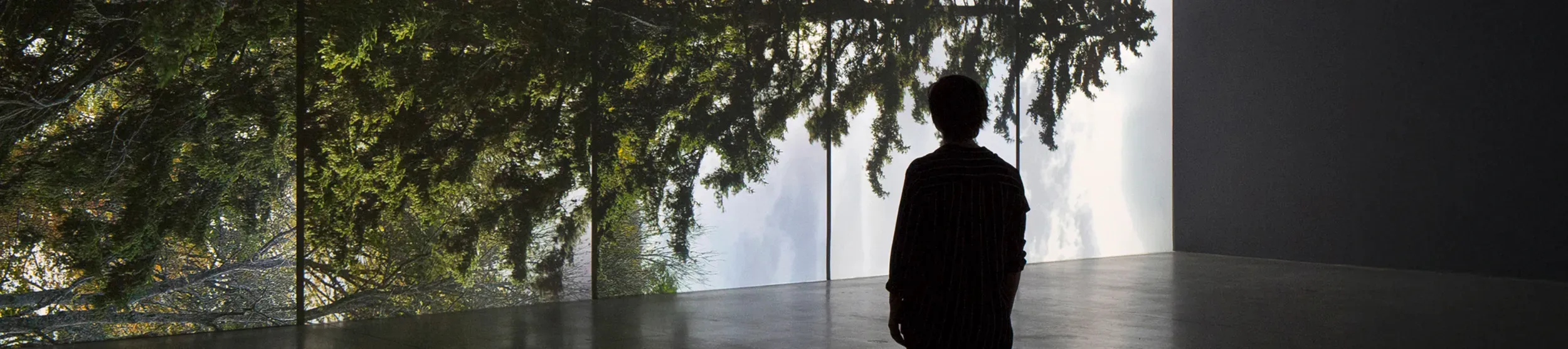 A person viewing a large-scale projection of a tree