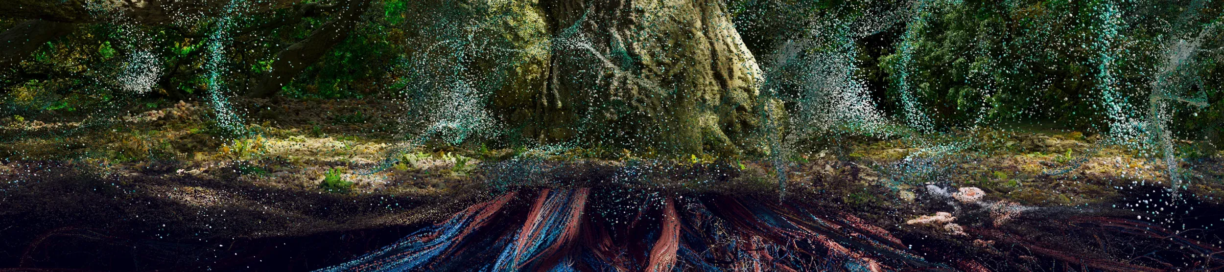 Of the Oak at Kew Gardens