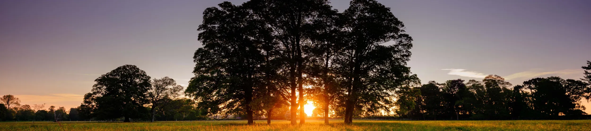 South Park at sunset