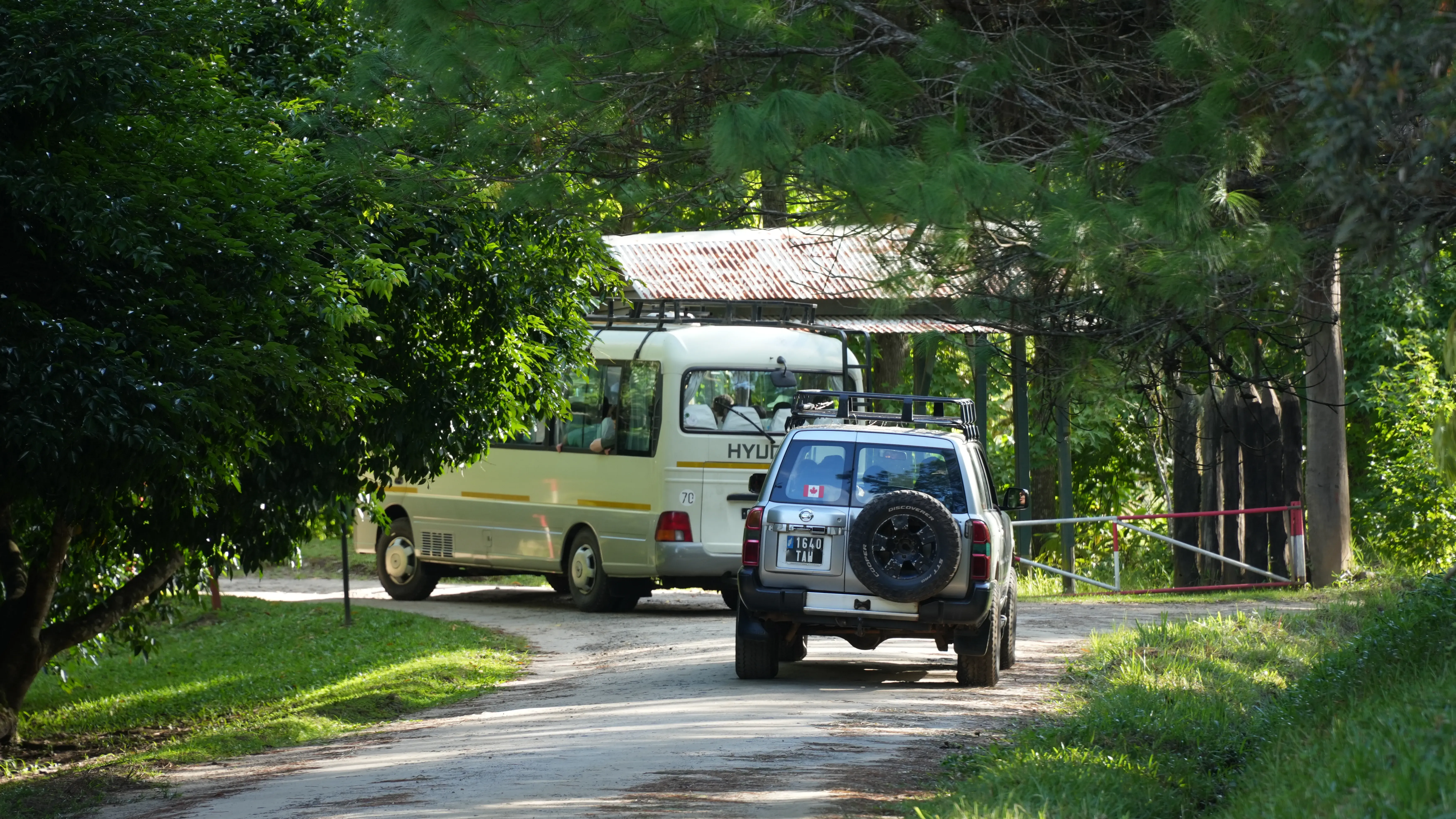 A bus and car on a road in a forest