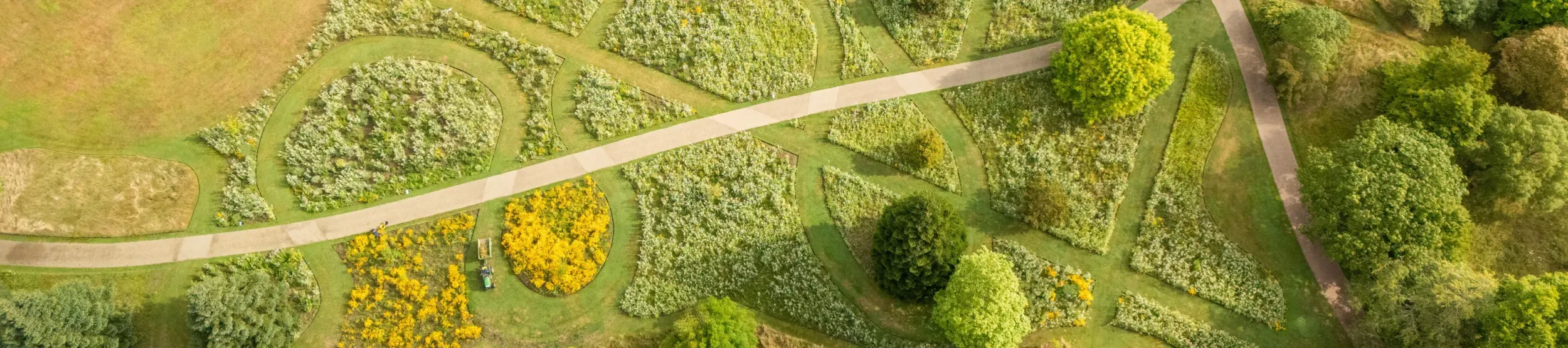 A birds-eye view of Wakehurst's American prairie, with a path going through the middle.