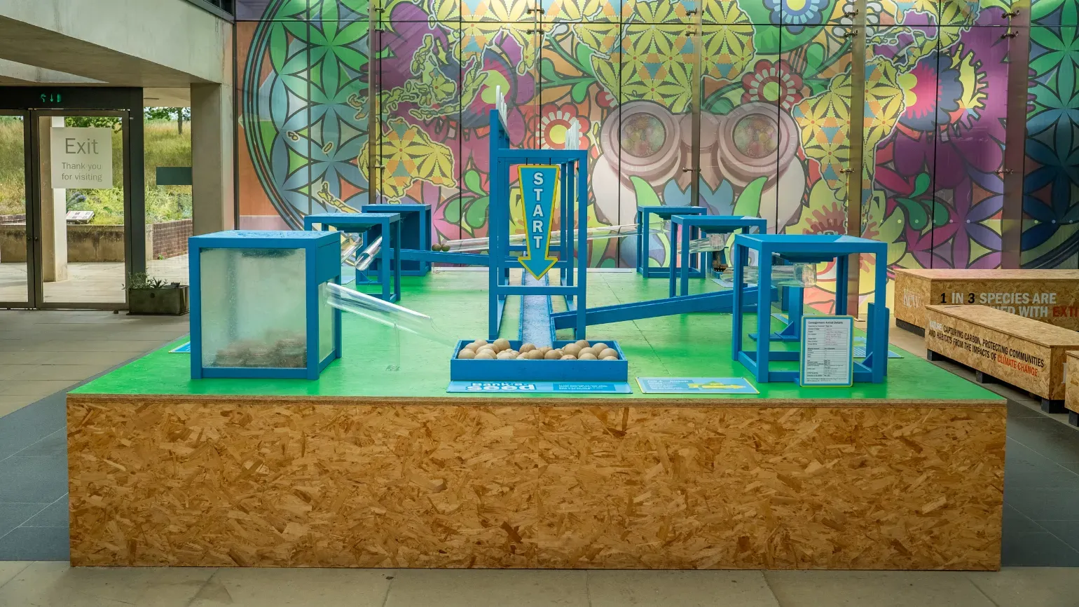 Bank a seed activity in the Millennium Seed Bank