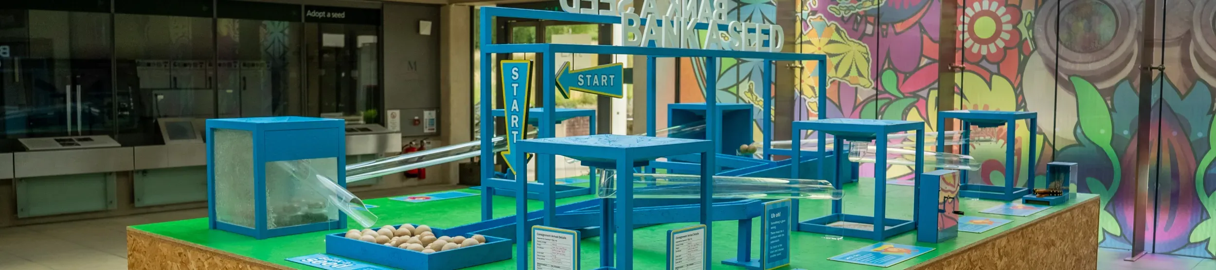 Bank a seed activity in the Millennium Seed Bank