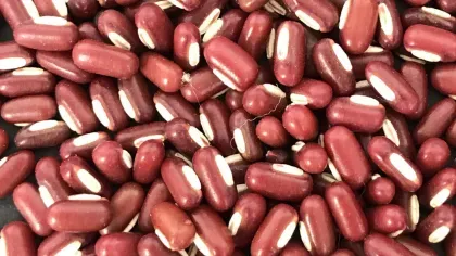  Rice beans (Vigna subterranea) on a table 