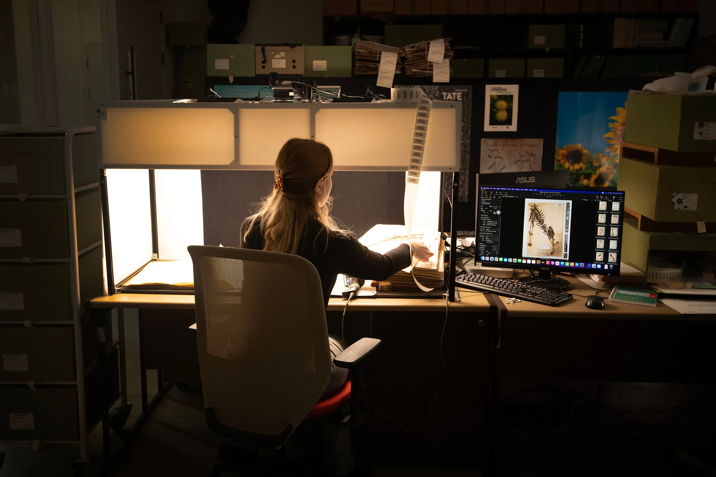 Person imaging a dried plant specimen that appears on the computer screen next to her.