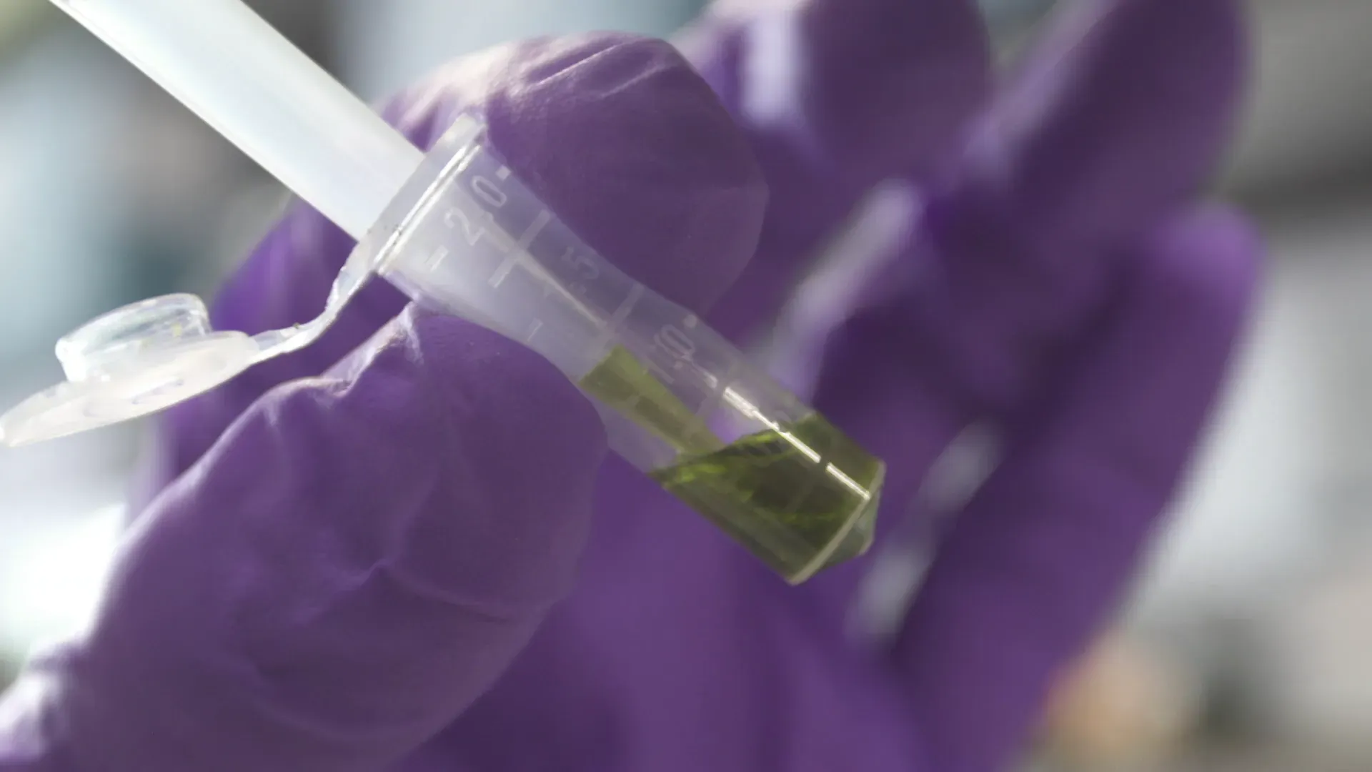 A gloved hand holding a plastic tube with green liquid
