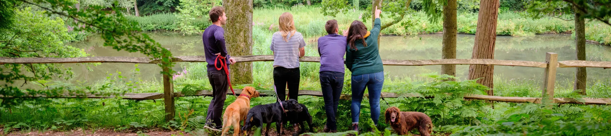 Dog walking by Westwood Lake