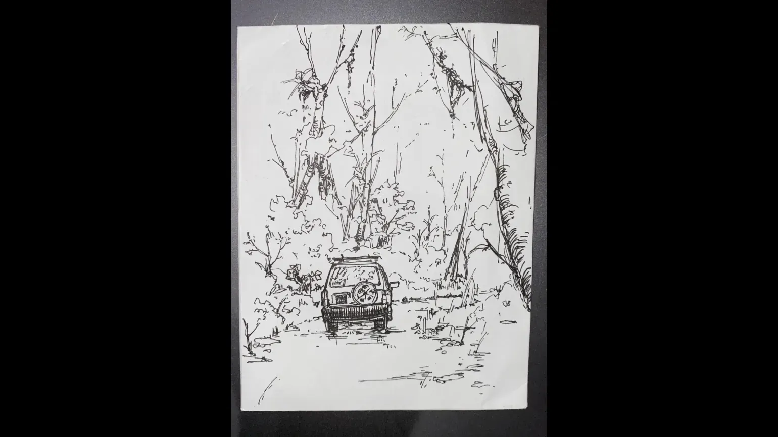 An ink drawing of a car driving through a forest