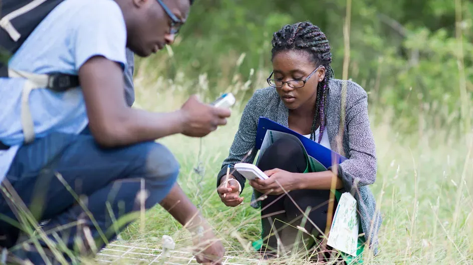 Students studying in the grasses