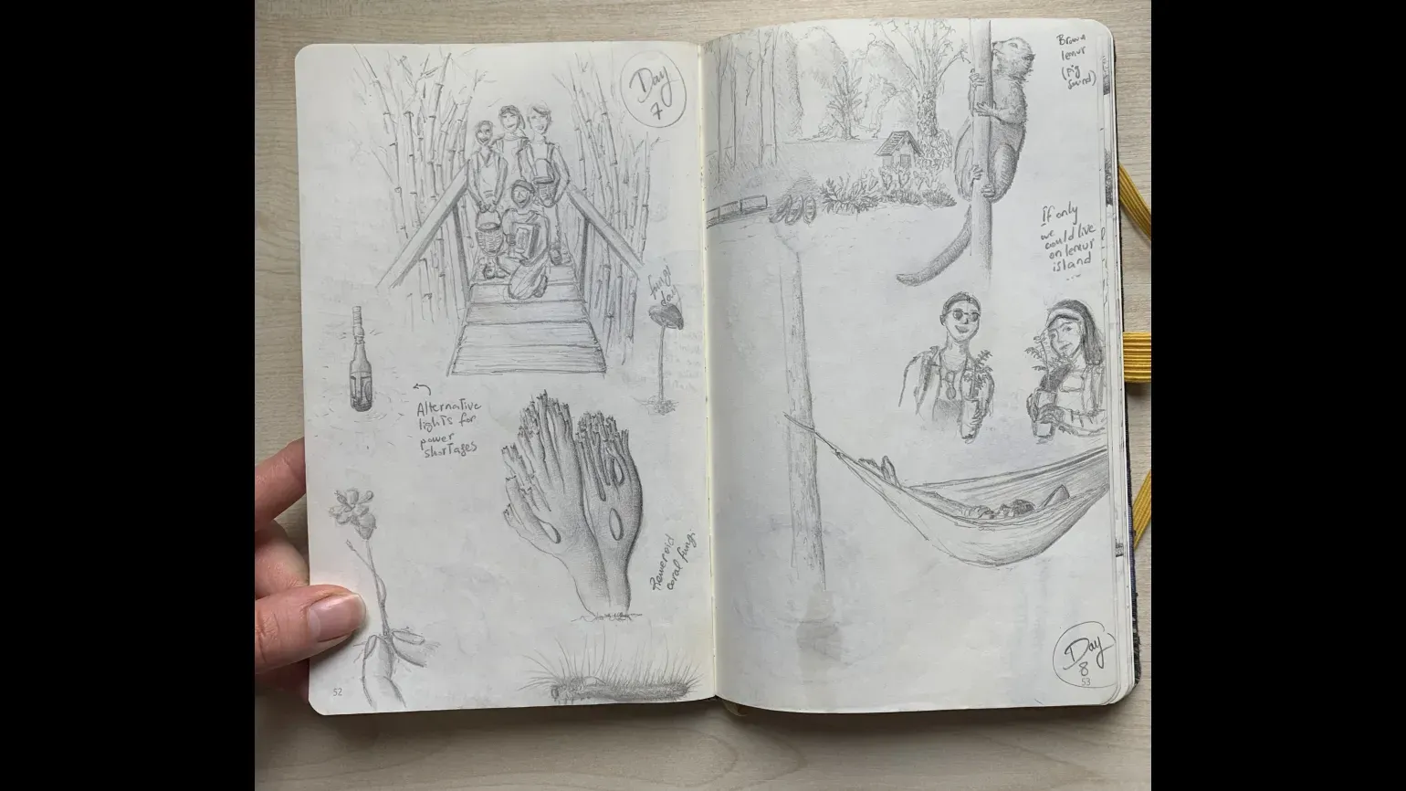 An open sketchbook with pencil drawings of people, fungi, plants and a lemur