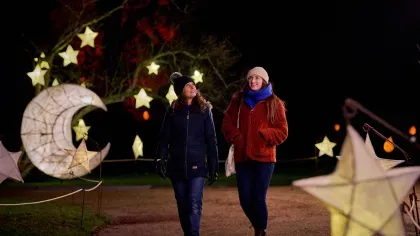 Glow Wild Moon and Stars 2025