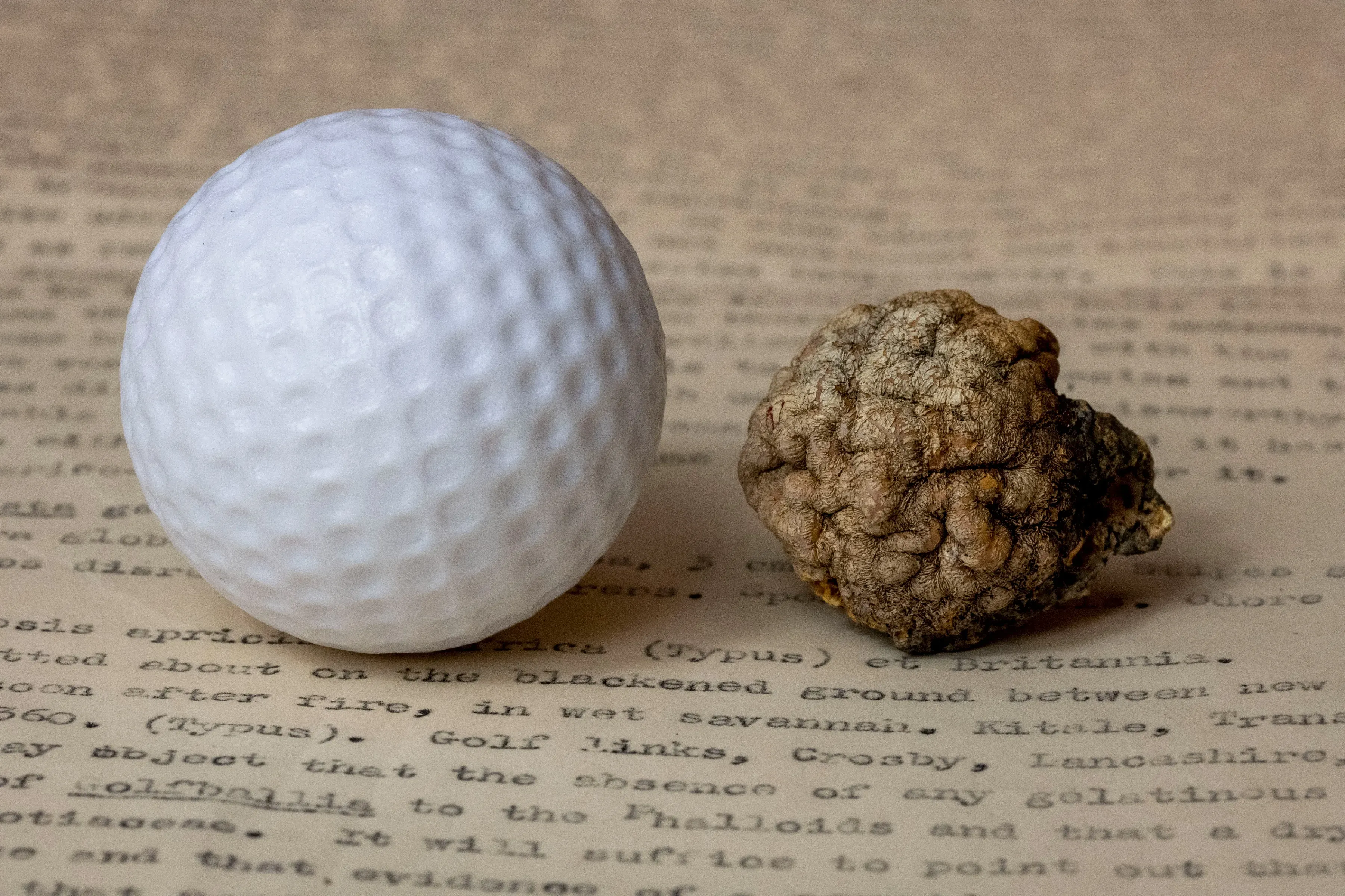 Side by side comparison of an unburnt golf ball and a burnt golf ball 