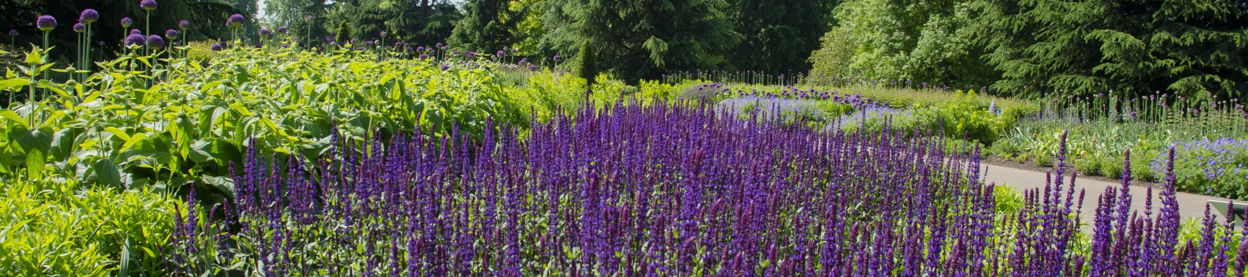 Great Broad Walk Borders, RBG Kew 