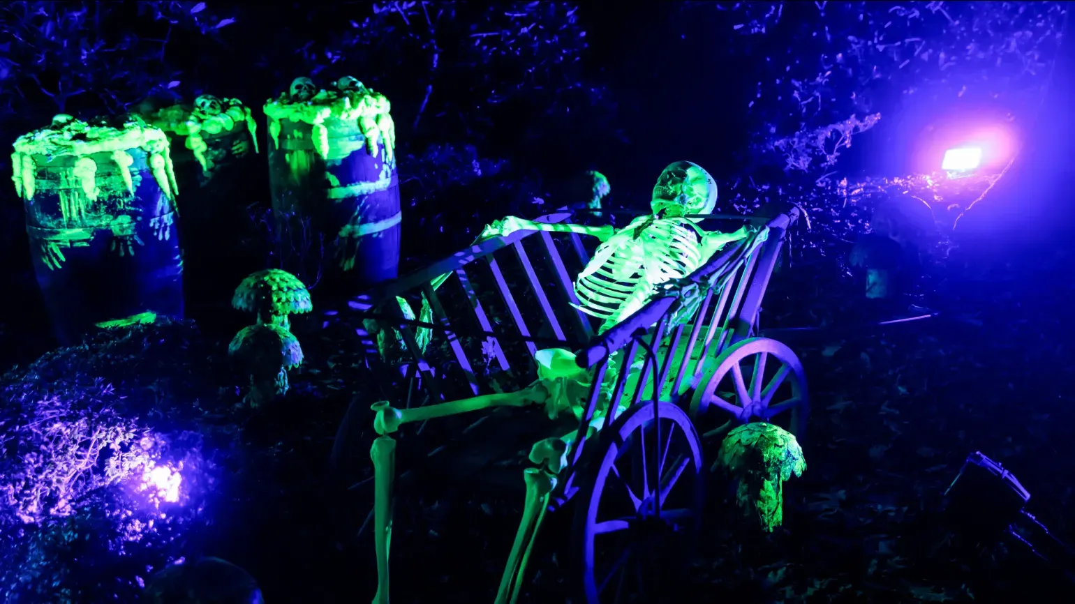 Halloween at Kew 