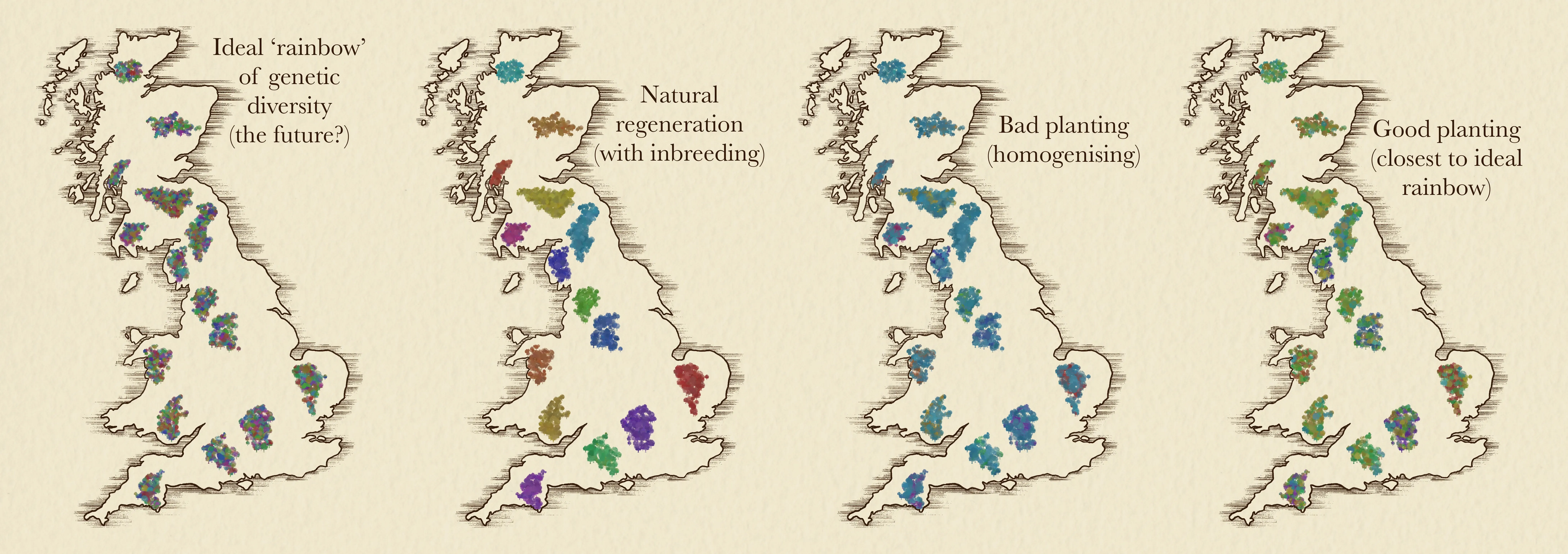 Illustrations of Britain, showing how diverse different types of regeneration can be