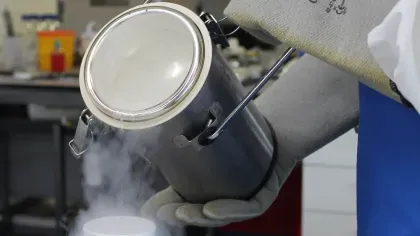 Liquid nitrogen is being poured directly onto seed embryos