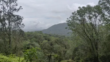 A view over a cloud forest in the Dominican Republic