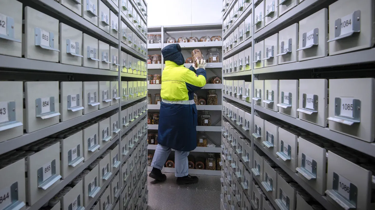 A scientist in the vaults at the Millennium Seed Bank 