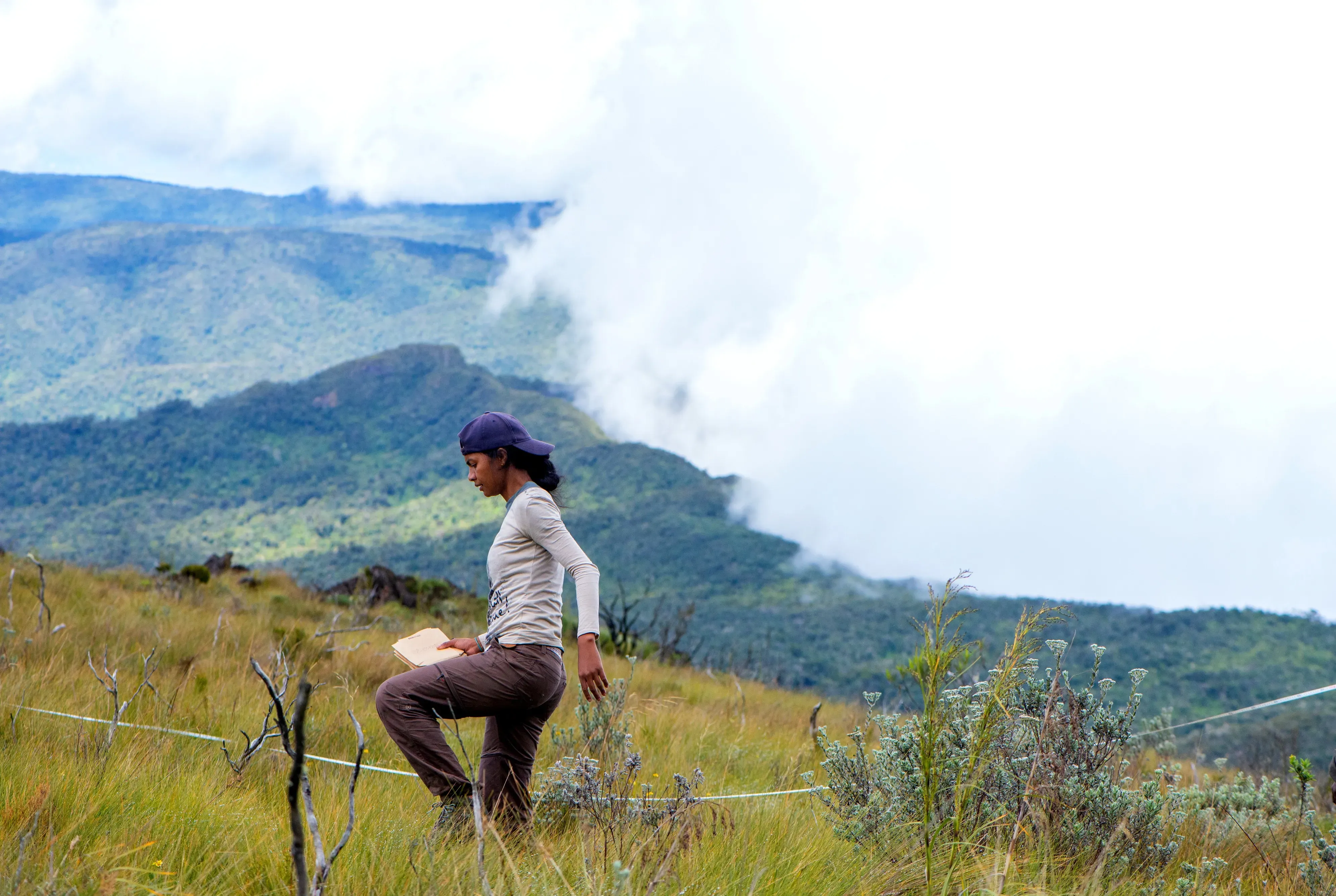 Lova walking through tall grass with a mountain scene in the background