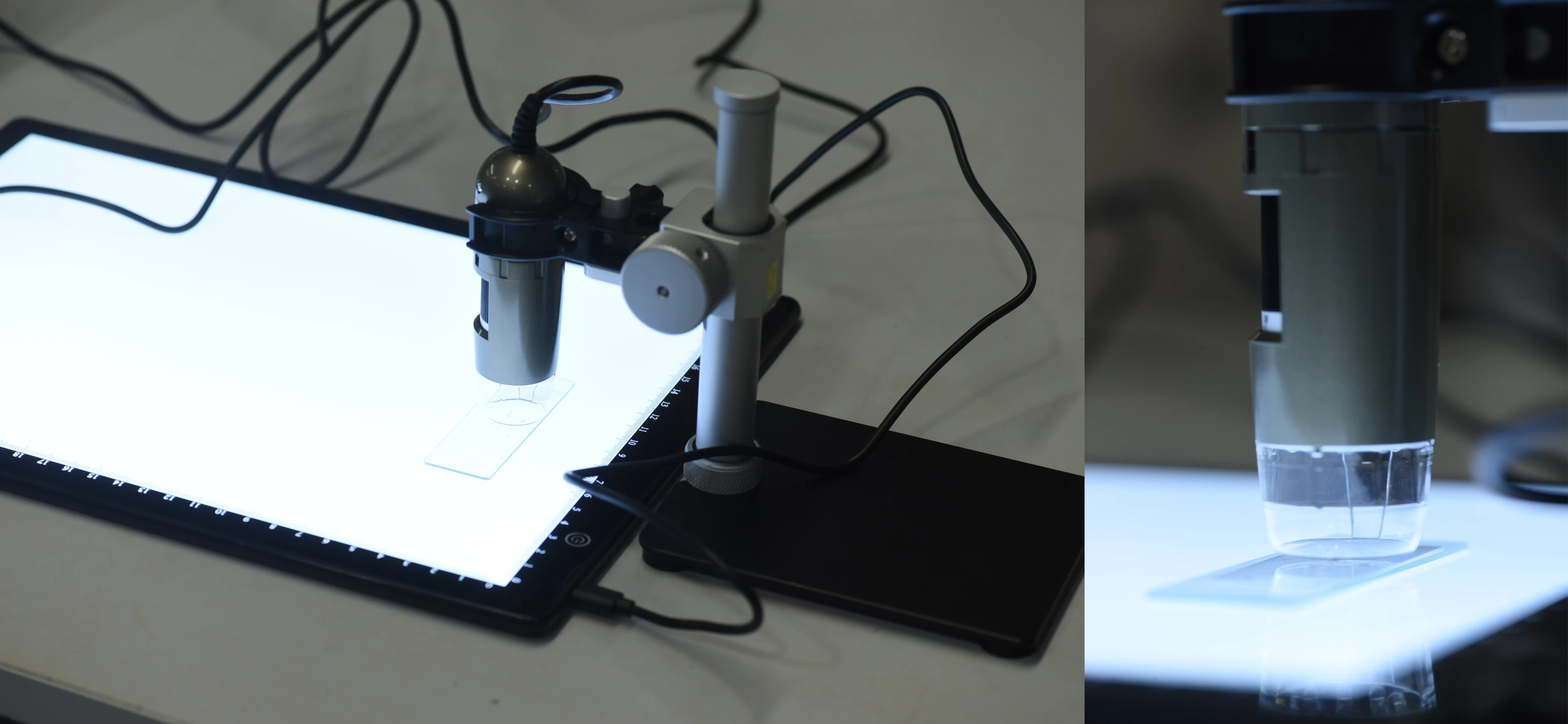 Two images. The left is a small camera mounted on a stand above a microscope slide on an A4 size flat light. The right image is a close up of the camera showing the tip flush against the slide.