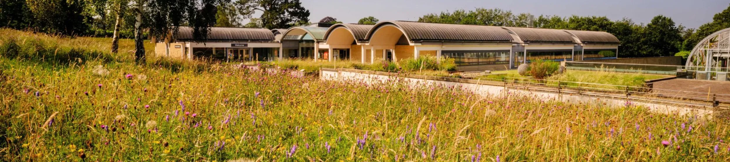 Millennium Seed Bank in summer with meadow flowers