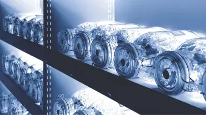 Seeds in Millennium Seed Bank