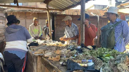 Six people surround a market stall covered in a variety of dried and bundled plants
