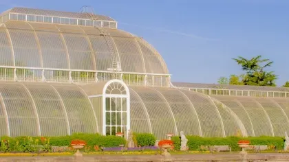 Palm House in summer