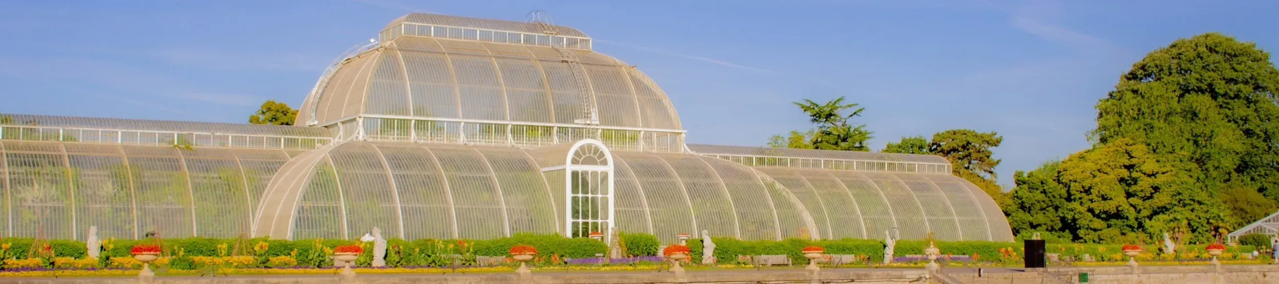 Palm House in summer