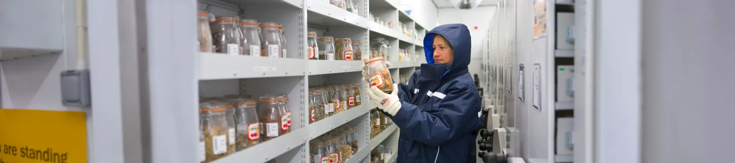 Researcher wearing large protective coat, holding jar of seeds, in the vault of the Millennium Seed Bank