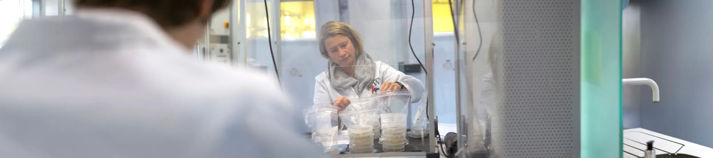 Researchers in white coats in the seed labs with bags of agar plates