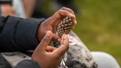 Boy holding a pine cone