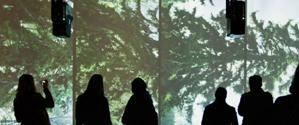 The Power of Trees exhibition