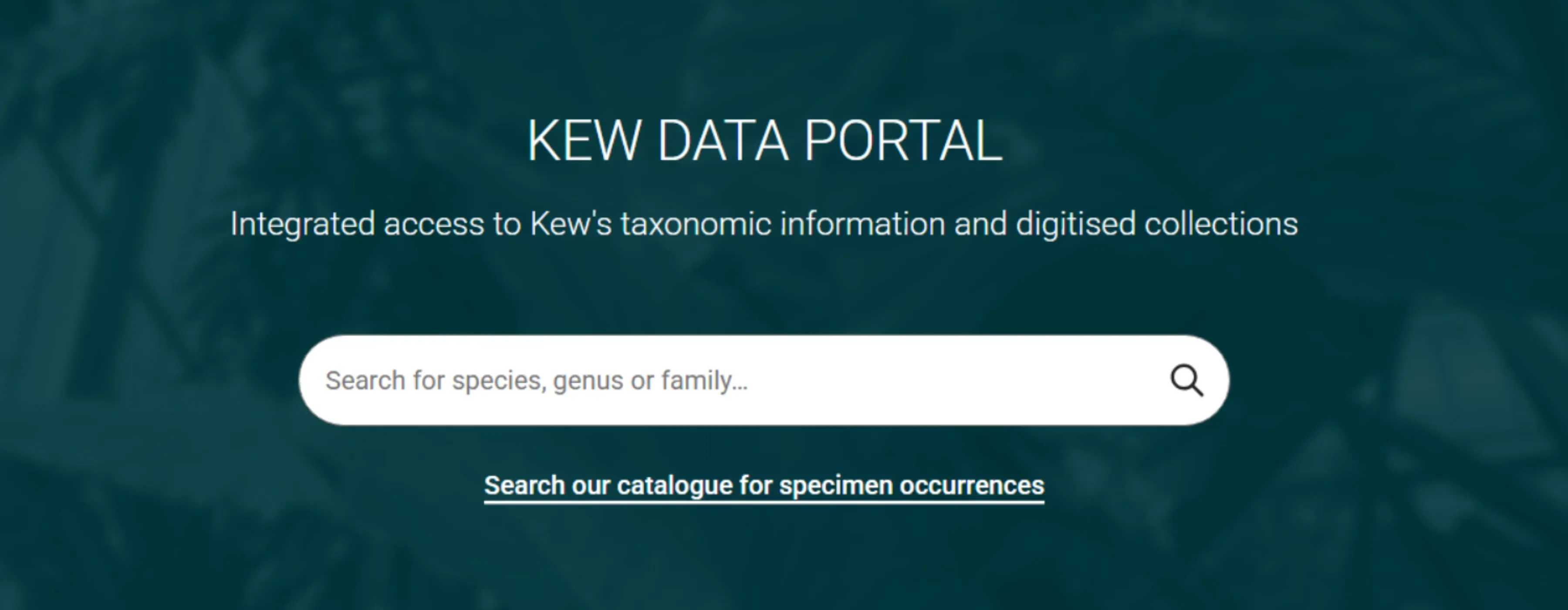 Kew Data Portal homepage providing integrated access to Kew’s digitised botanical collections and taxonomic data, featuring a central search bar for plant species, genus, or family names, and a link to search specimen occurrence records.