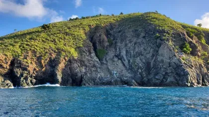 A small rocky island is dotted with small plants
