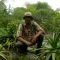 Vonona Randrianasolo crouching down and surrounded by green vegetation