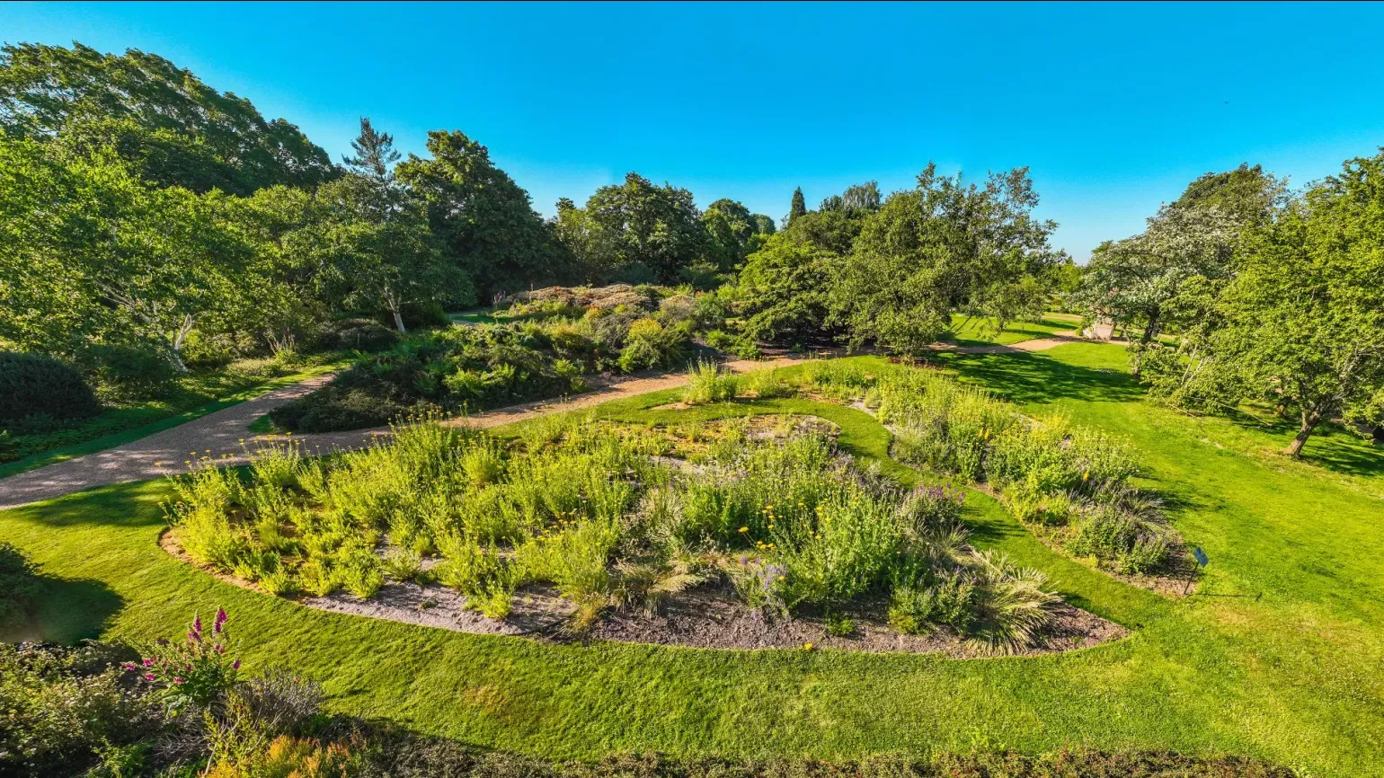 A group of plant beds under a blue sky