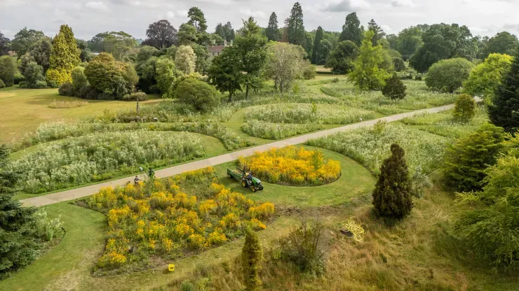 A birds-eye view of Wakehurst's American prairie, with a path going through the middle.