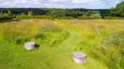 Two wooden seats on a mown patch of grass in Coronation Meadow at Wakehurst. 