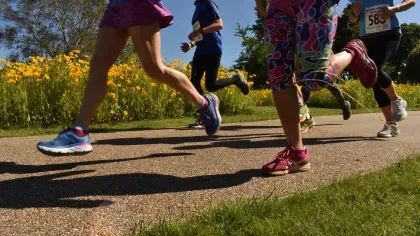 Runners on a path past a field of yellow flowers