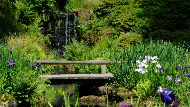 Iris Dell at Wakehurst 